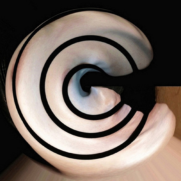 Bandschnecke